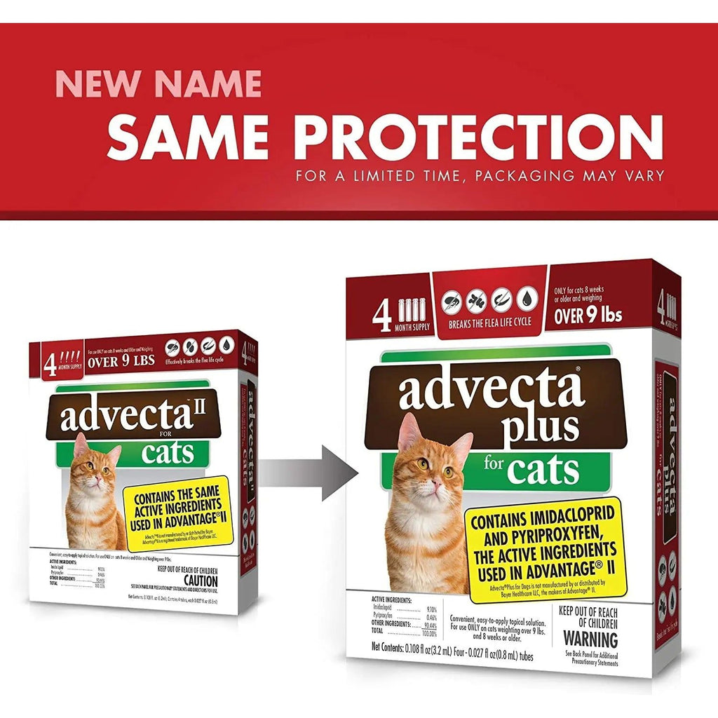 Cat Advecta Plus Flea Protection Squeeze-on Cats Over 9lbs 4ct