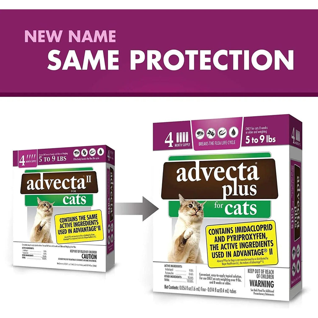 Advecta Plus Flea and Tick Treatment for Small Cats 4 Count