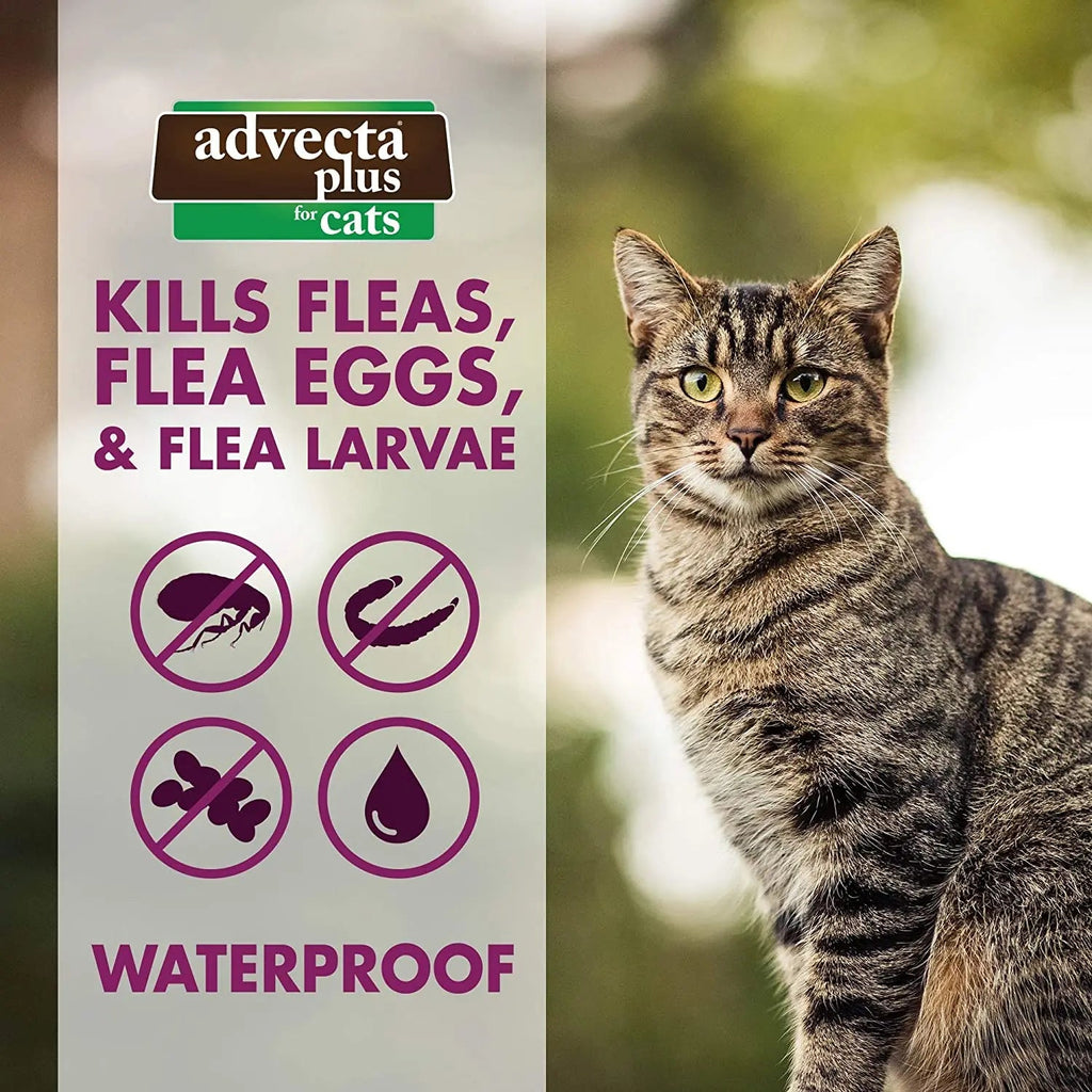 Advecta Plus Flea and Tick Treatment for Small Cats 4 Count