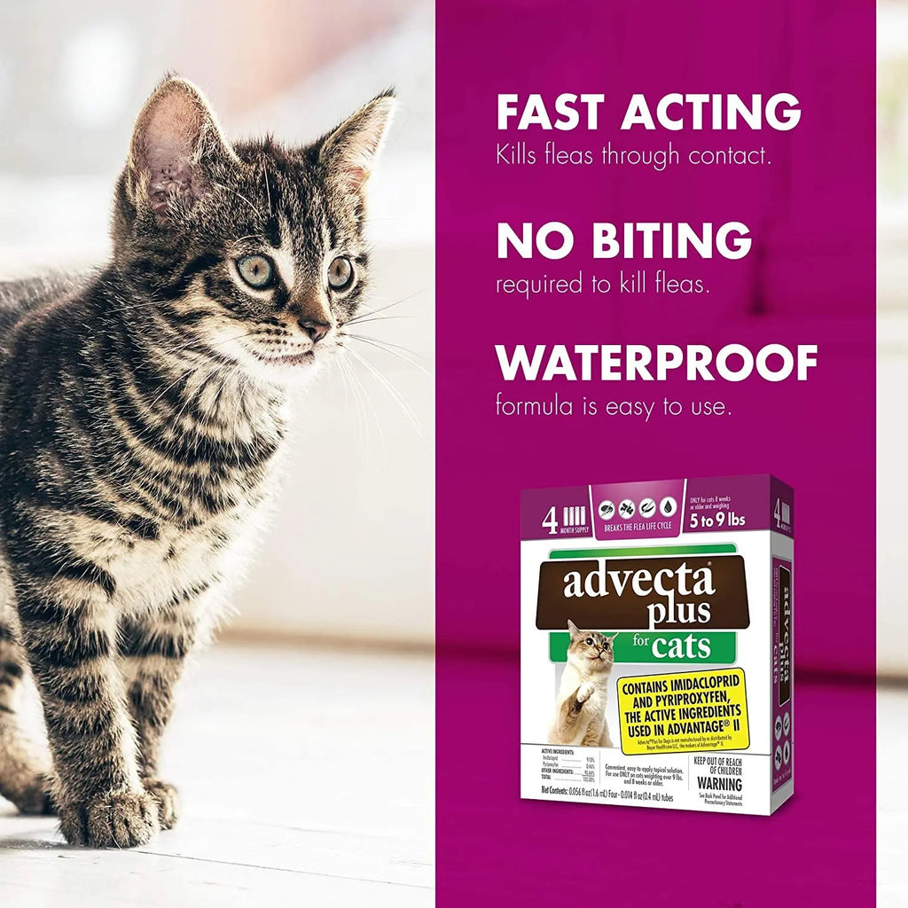Advecta Plus Flea and Tick Treatment for Small Cats 4 Count