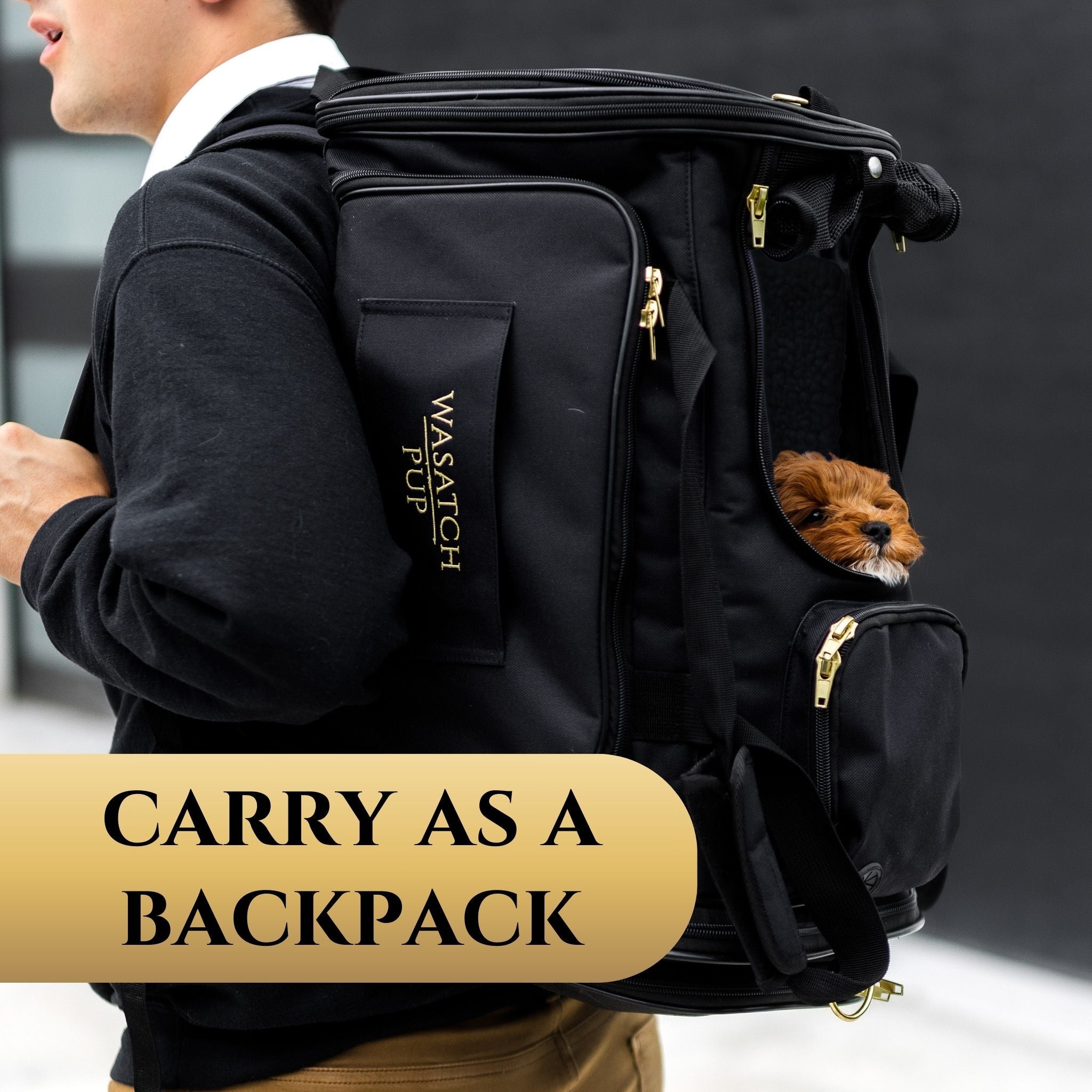 Air Pup Airline Pet Travel Carrier