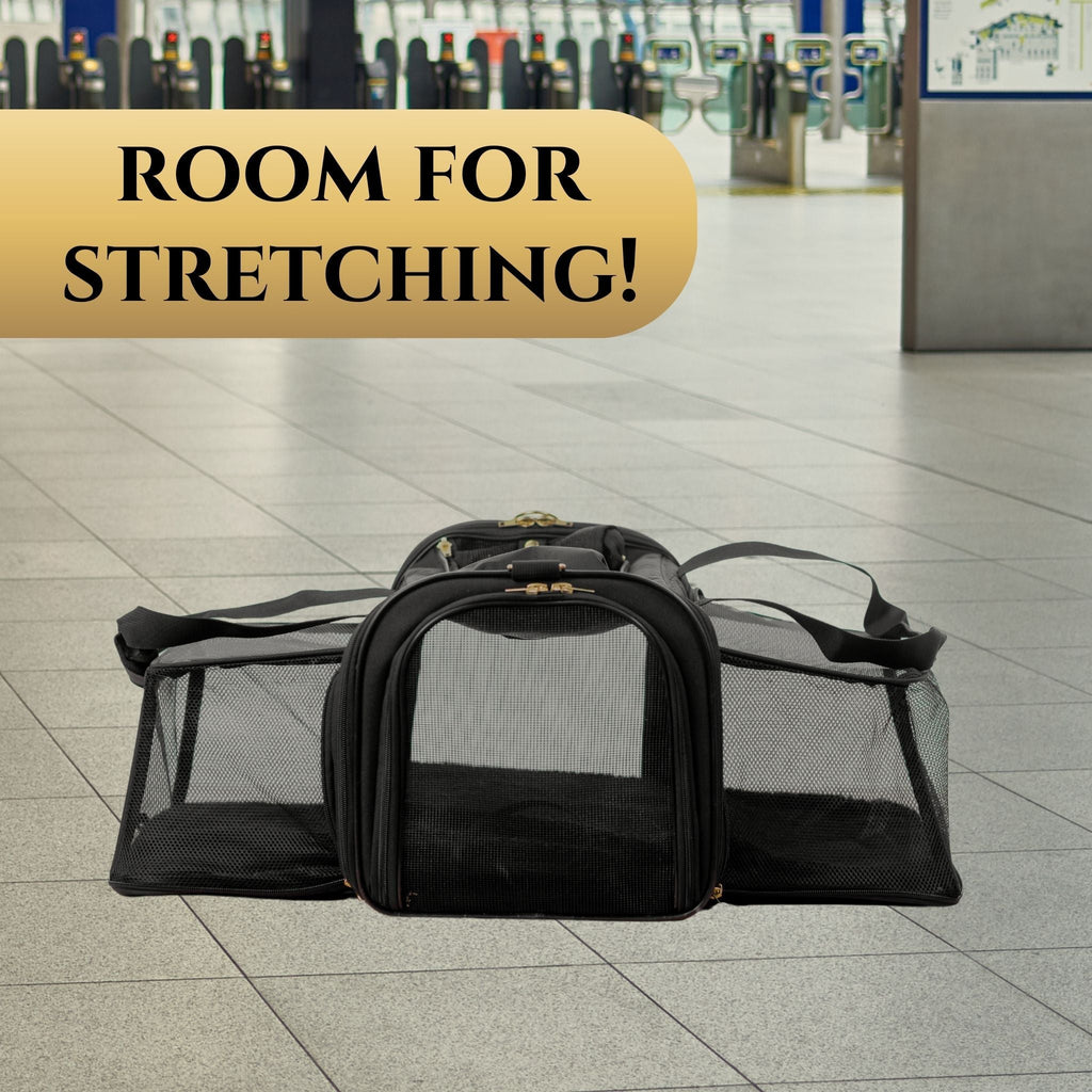 Air Pup Airline Pet Travel Carrier