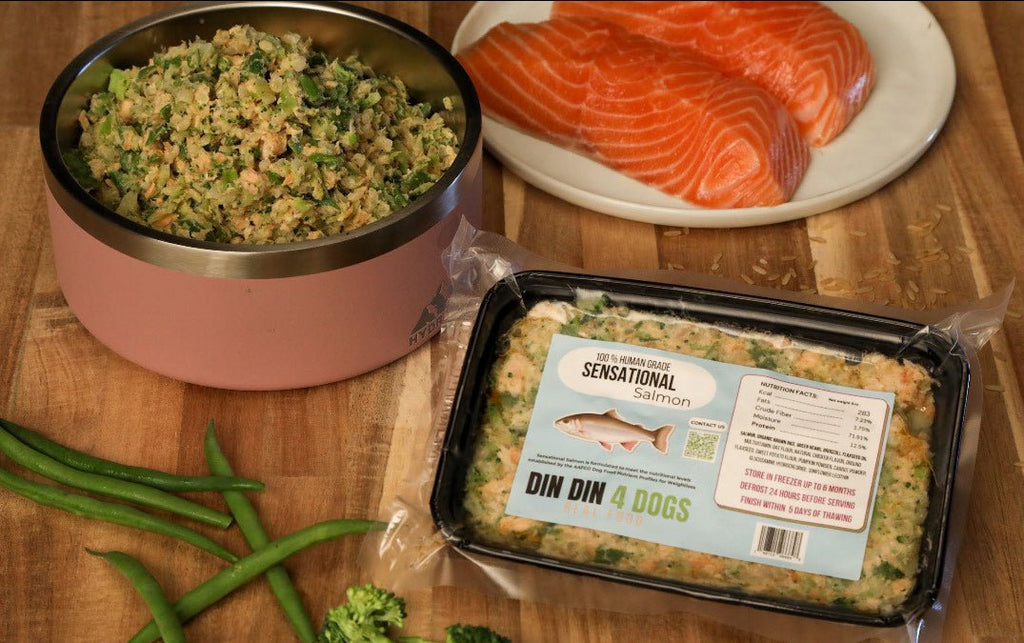 Sensational Salmon - case includes 24, 8oz meals