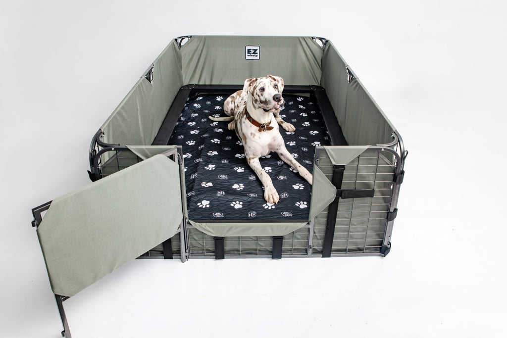 Black & White Slip Resistant Paw Print Pad/Mat, 2 Pack