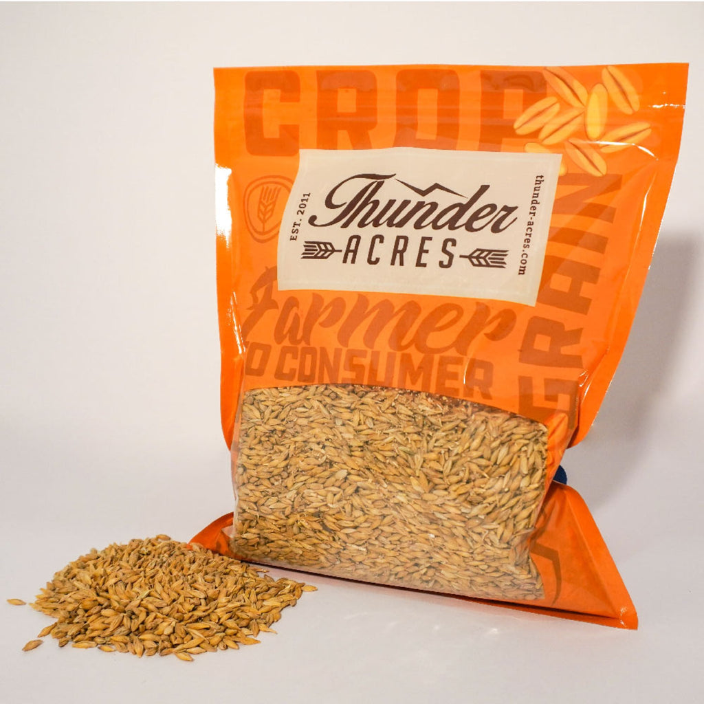Thunder Acres Barley Seed - Certified Organic - Non-GMO - Glyphosate Free