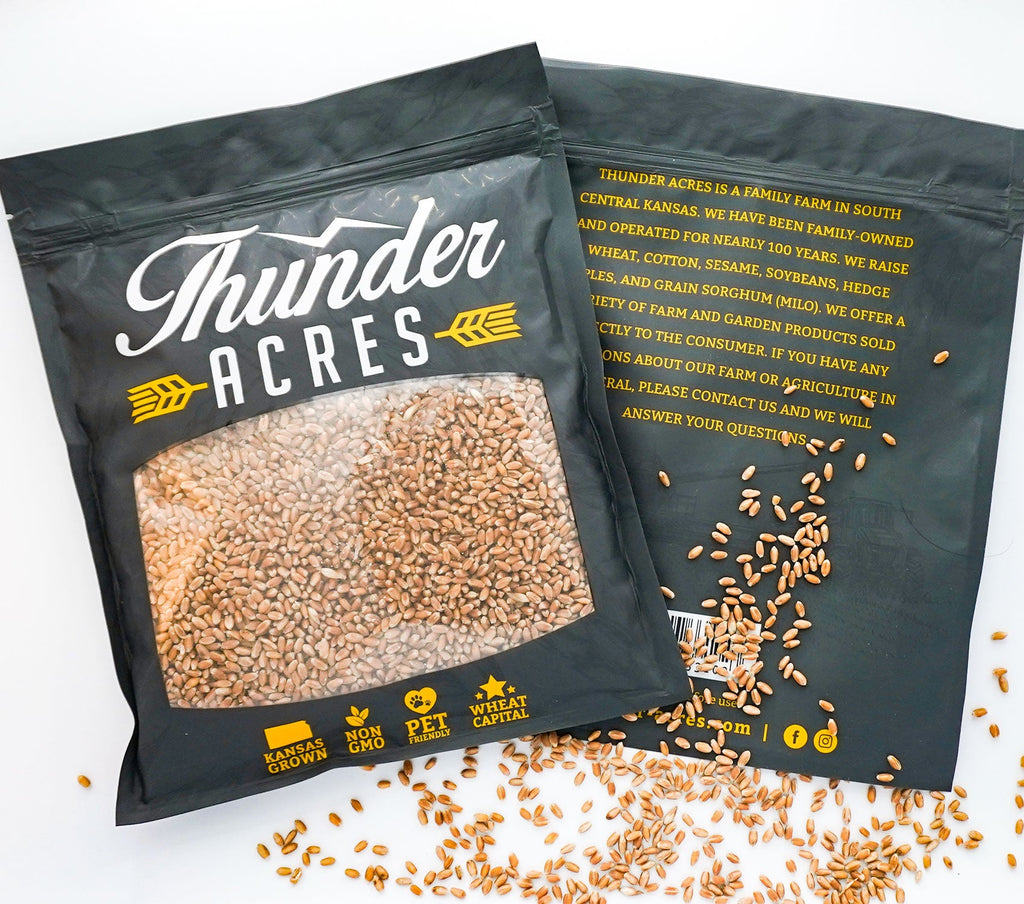 Non-GMO Wheat Seed for Wheatgrass and Cat Grass - Glyphosate Free