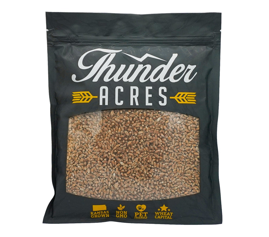 Non-GMO Wheat Seed for Wheatgrass and Cat Grass - Glyphosate Free
