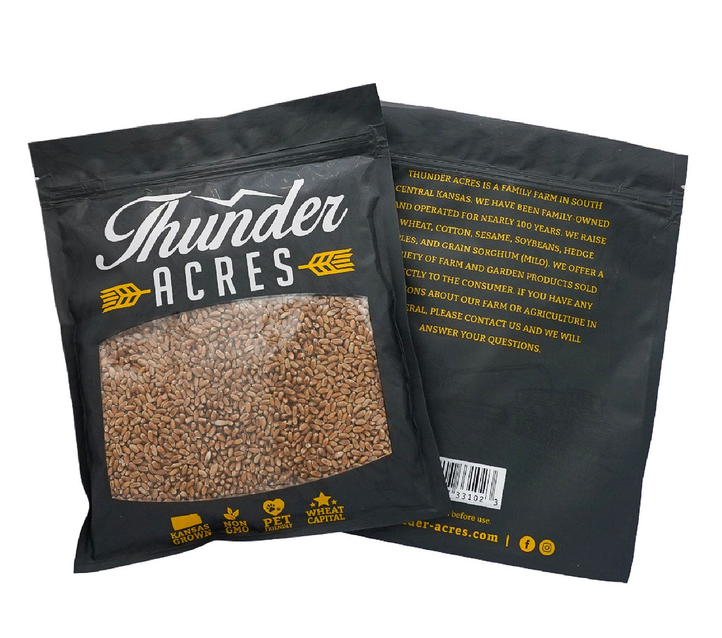 Non-GMO Wheat Seed for Wheatgrass and Cat Grass - Glyphosate Free