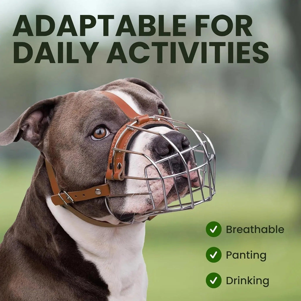 Metal Basket Dog Muzzle – Breathable, Leather Straps