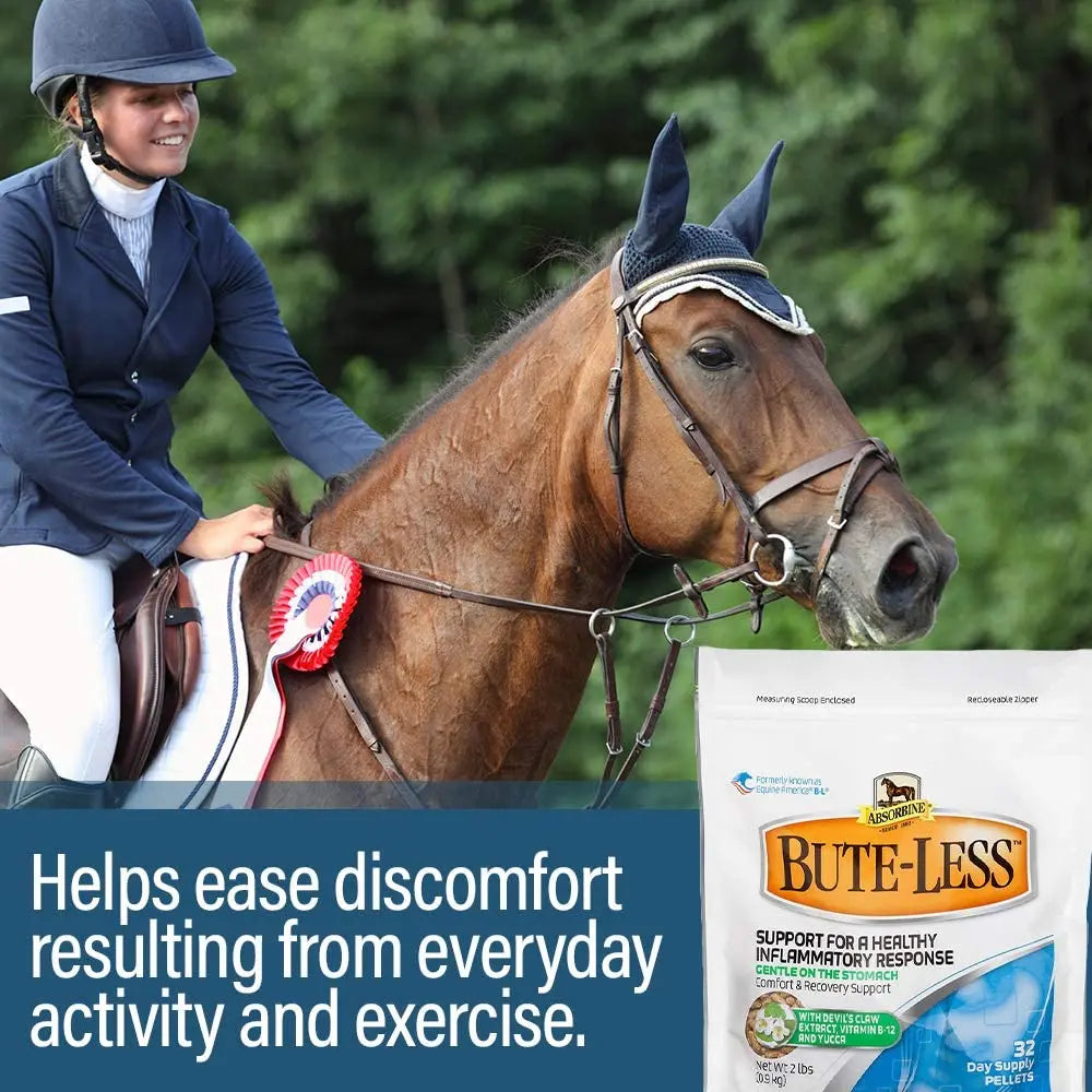 Bute-Less Comfort & Recovery Joint Supplement with B-12 for Horses