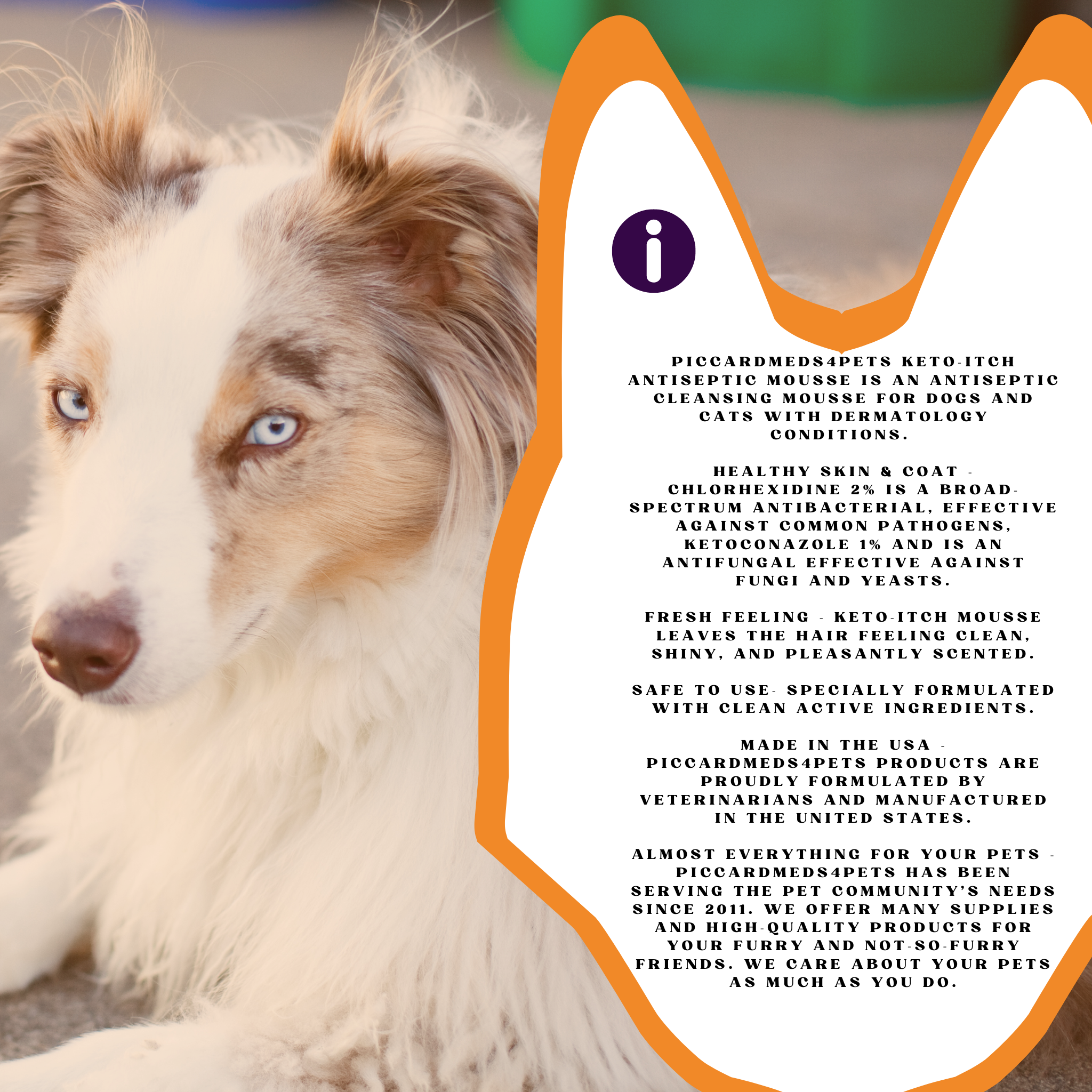 Piccardmeds4pets Keto-Itch Plus Antiseptic Mousse for Cats & Dogs 7 oz. + FREE Bandana!