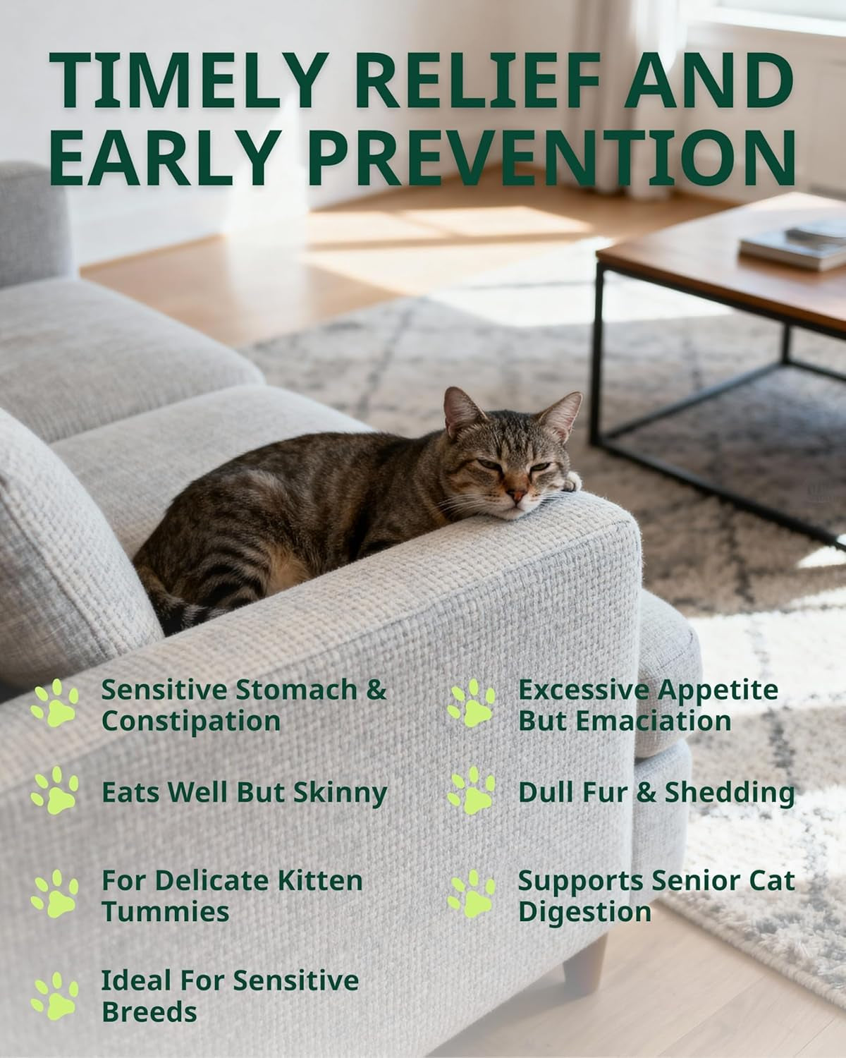 Cat Constipation Relief Drops Natural Digestive Stool Softener 60ml