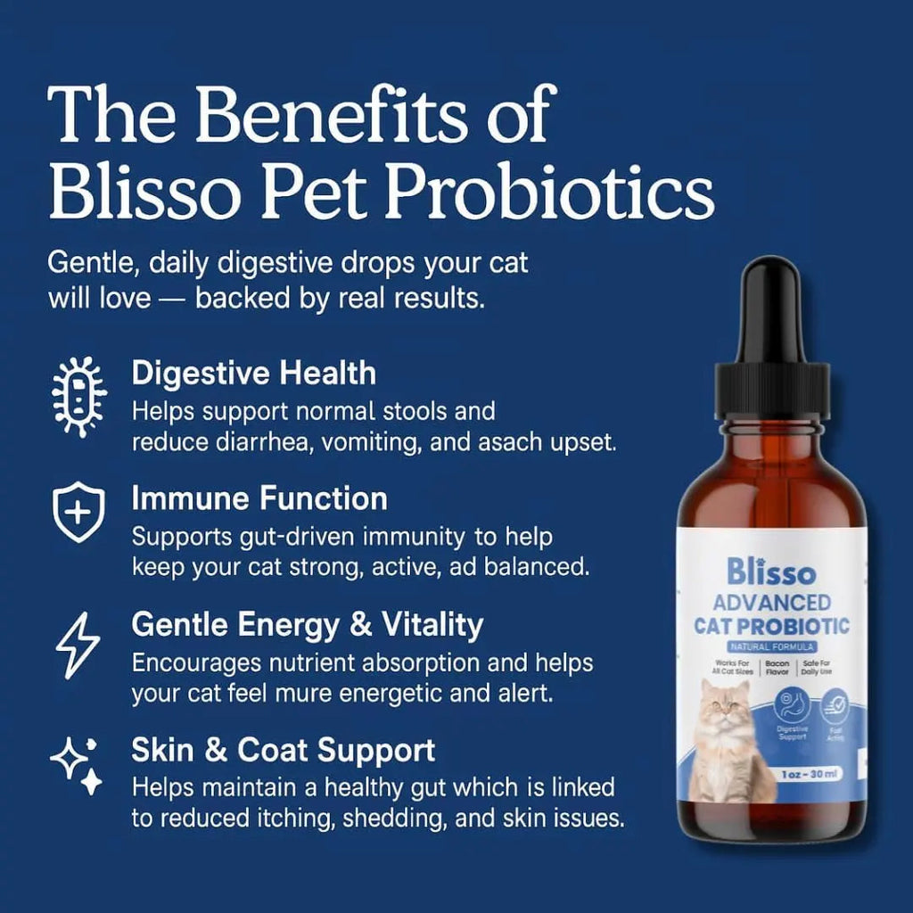 Cat Probiotic Drops – Digestive Support