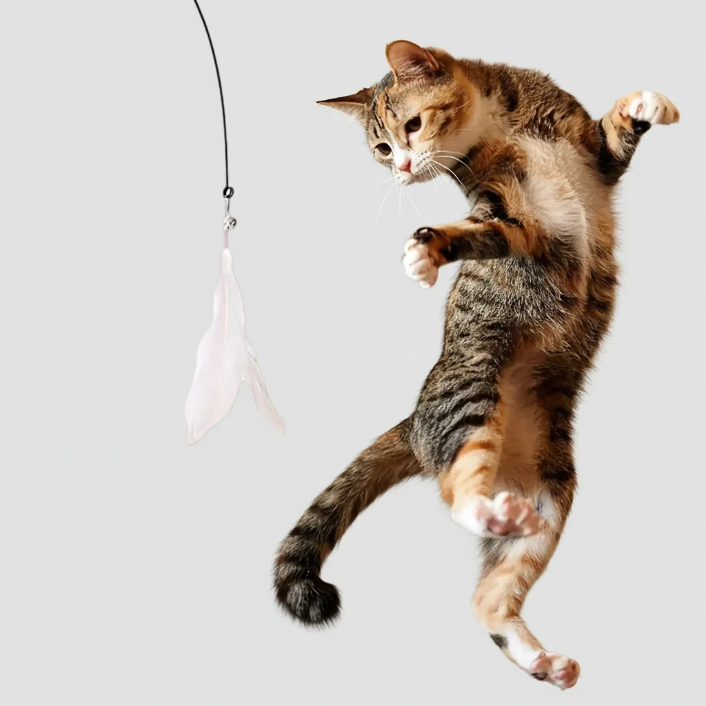Cat Teaser Toy - Feather Wand