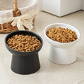 Ceramic Raised Tilted Cat Bowls Set of 2, Elevated Porcelain Feeder