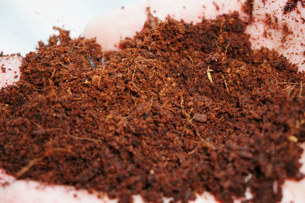 Coco Coir Brick (OMRI Approved for Organic Use)
