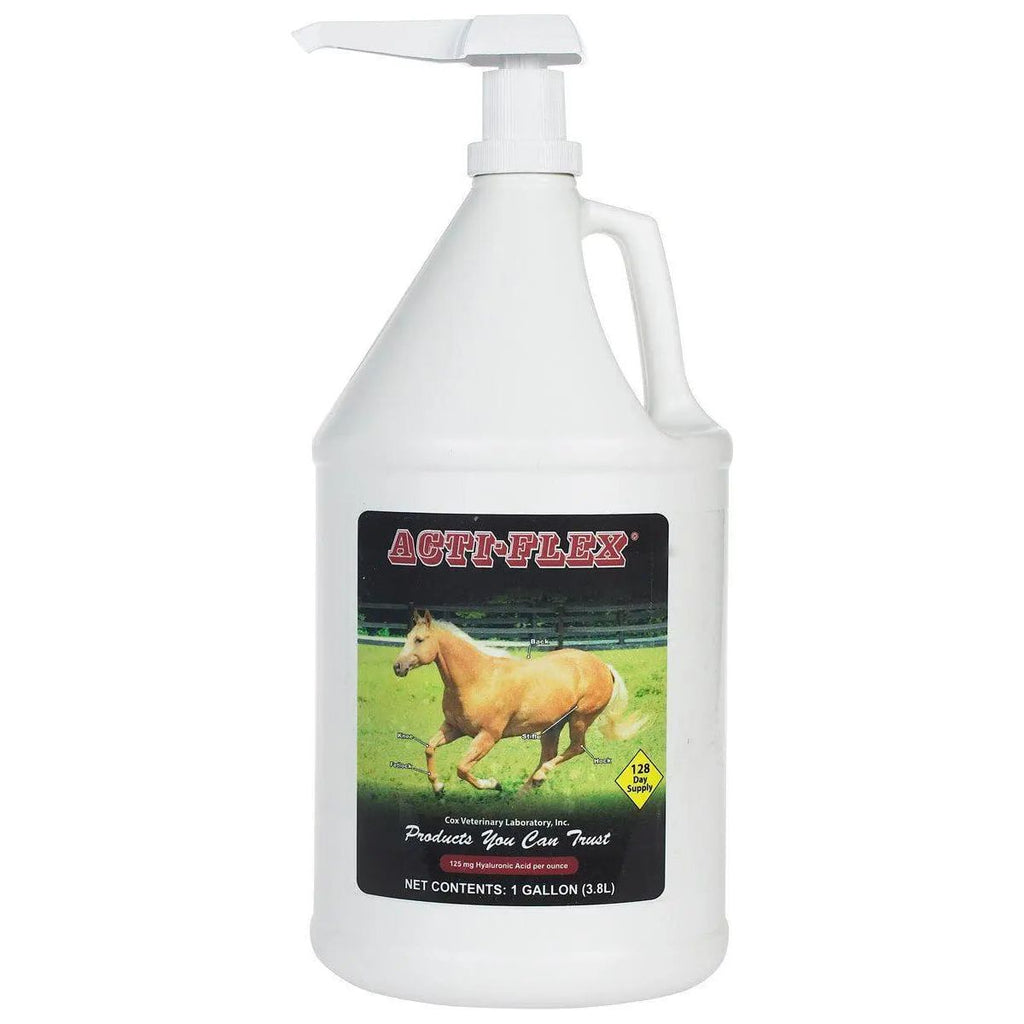 Cox Vet Lab Acti-Flex Equine Joint Supplement Piña Colada Flavor 1 Gallon