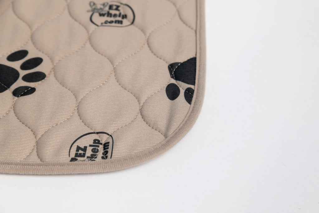 EZwhelp Quick Dry Light Brown Pad/Mat, 2 Packs