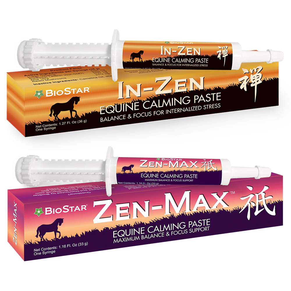 Zen Equine Syringes
