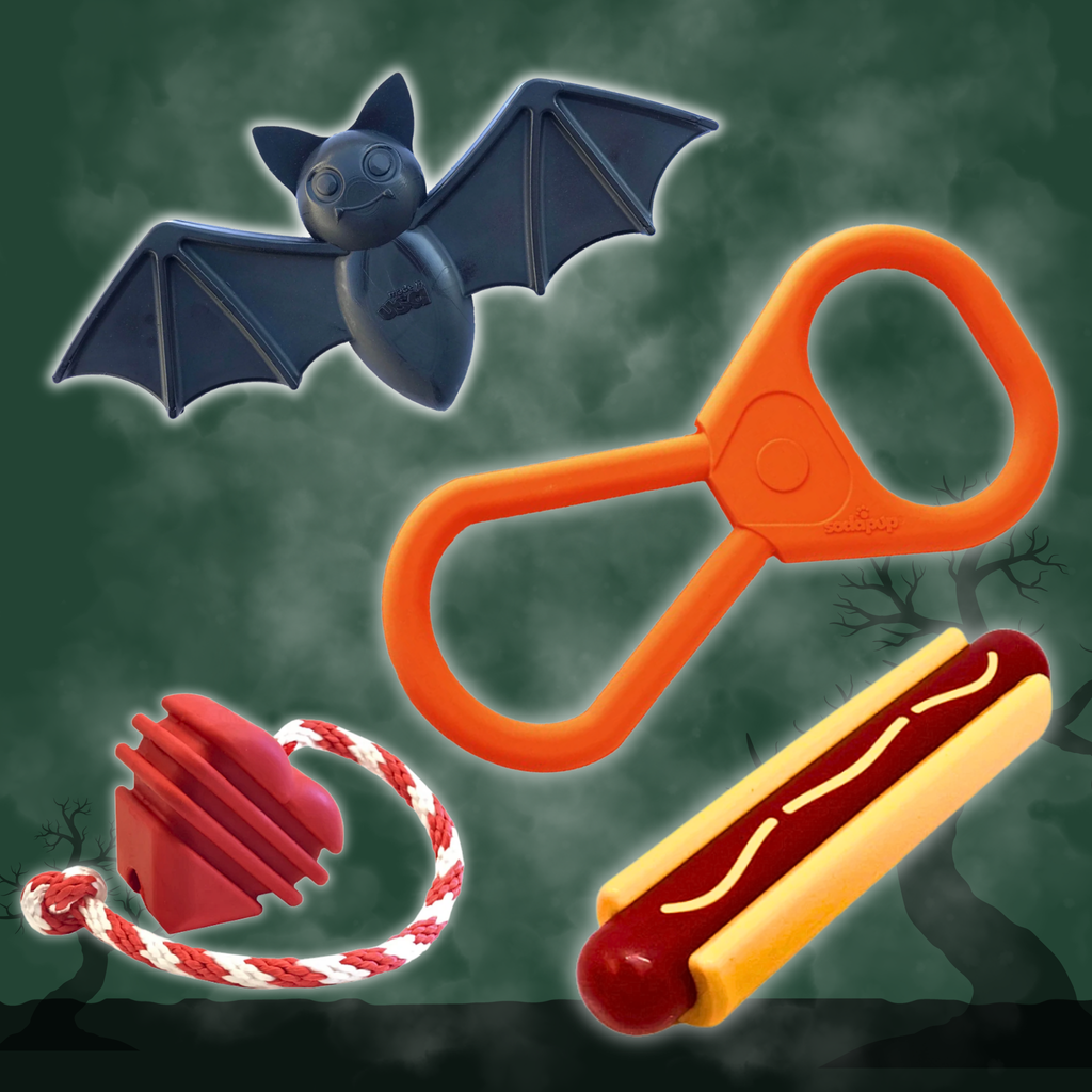 Chew Toys