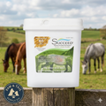 SUCCEED Digestive Conditioning Program Granules 3.75 lb Horse Digestive Supplement