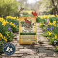 Alligator Premium Wild Bird Seed Blend 5 lb No Corn Natural Year-Round Feed