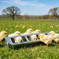 Miller 12" Galvanized Slide Top Poultry Chicken Feeder Metal