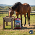 Southern Seed & Feed Multi-Species Textured Sweet Feed for Cows Horses & Goats 50lbs