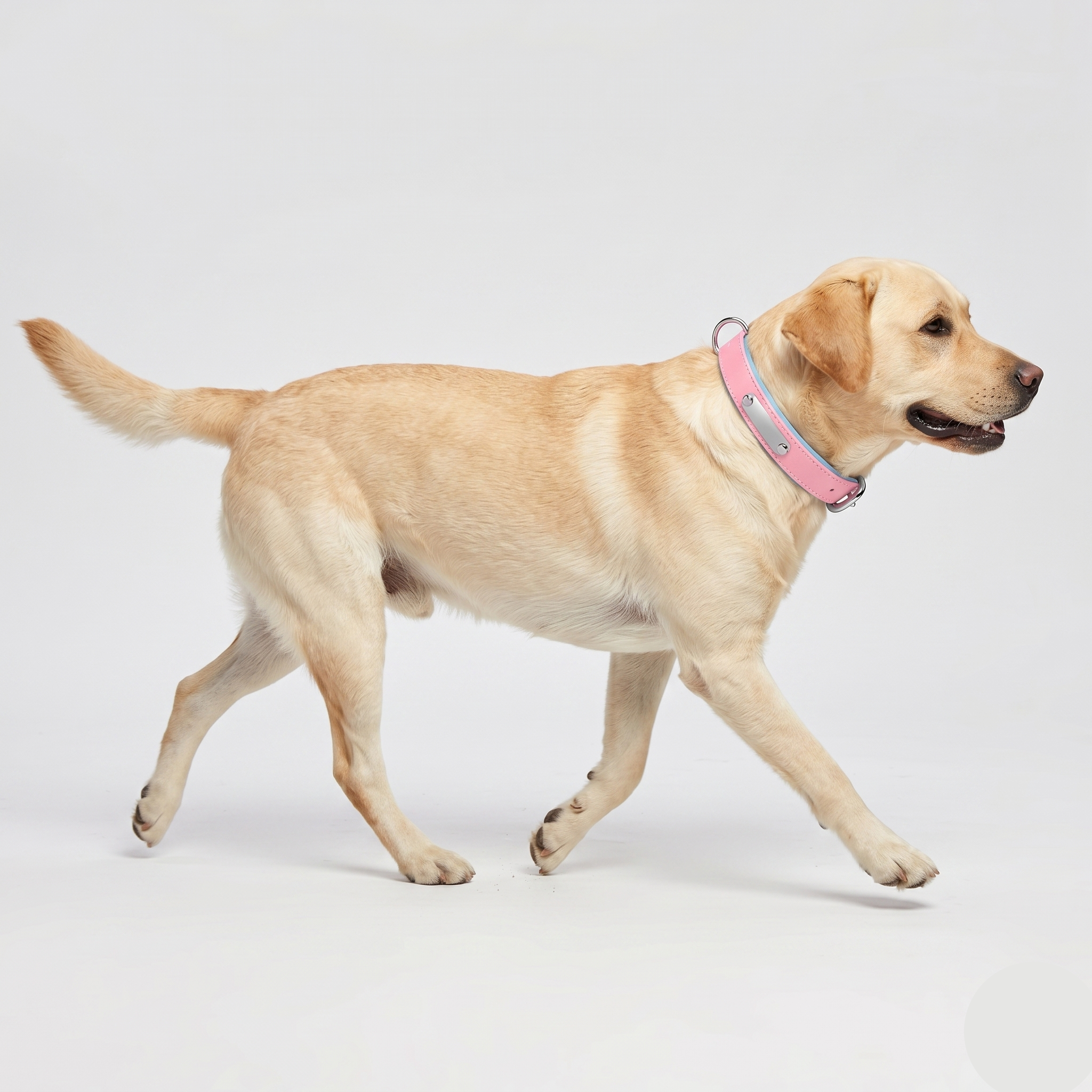 Breathable Cotton Dog Collar
