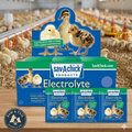 Chicken Bird Sav-a-chick Poultry Vitamins & Electrolytes 20 Pack Supplement
