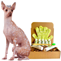 4-HAIRLESS PETS *DOG REGULAR KIT