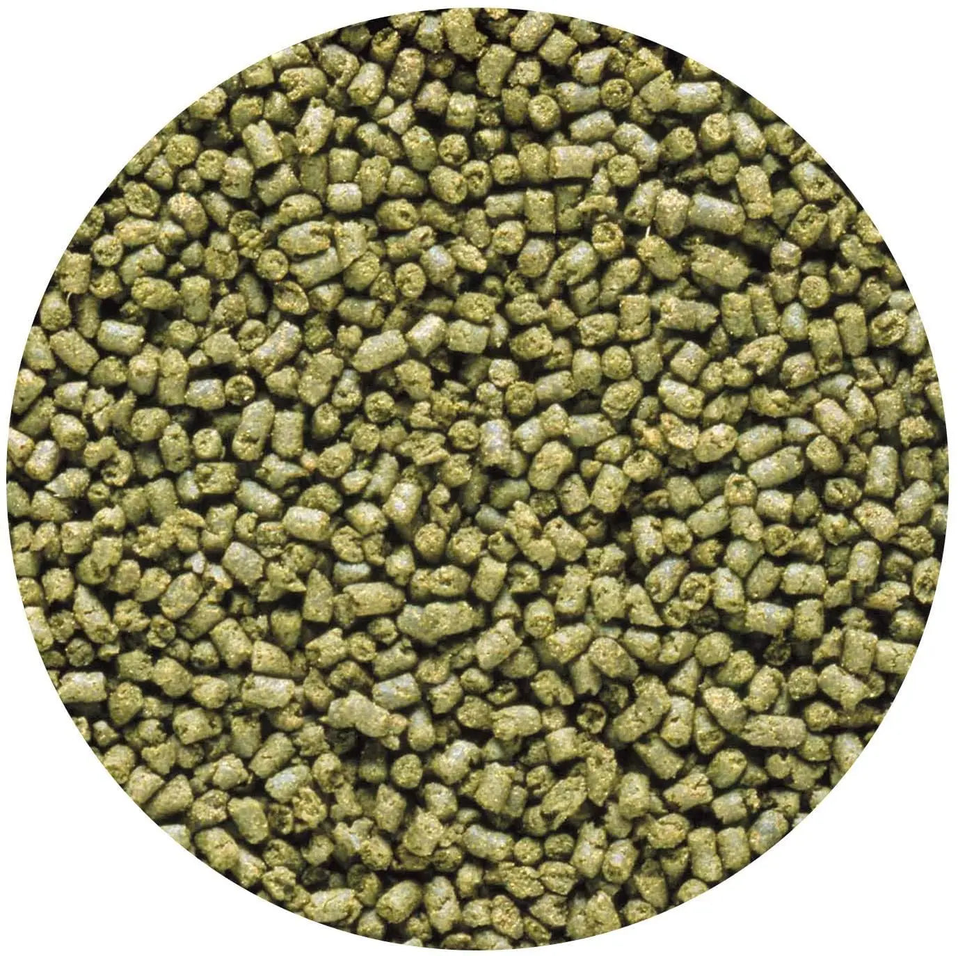 Hikari Saki-Hikari Marine Herbivore MD Sinking Fish Food 3.17 oz.
