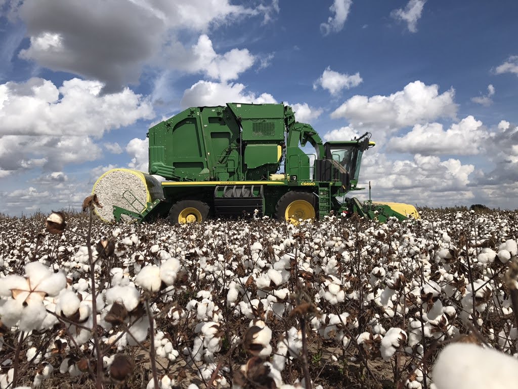 Raw Cotton Stuffing/Batting, All Natural