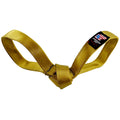 LUCKY DOG $9 Golden Snitch Tug