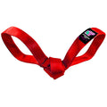 LUCKY DOG $9 Love Bird Seatbelt Tug