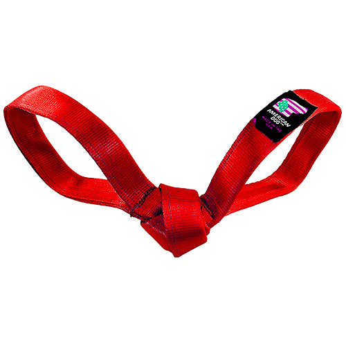 LUCKY DOG $9 Love Bird Seatbelt Tug