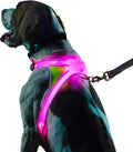 LED Light-Up Dog Harness – USB Rechargeable Reflective Safety Vest