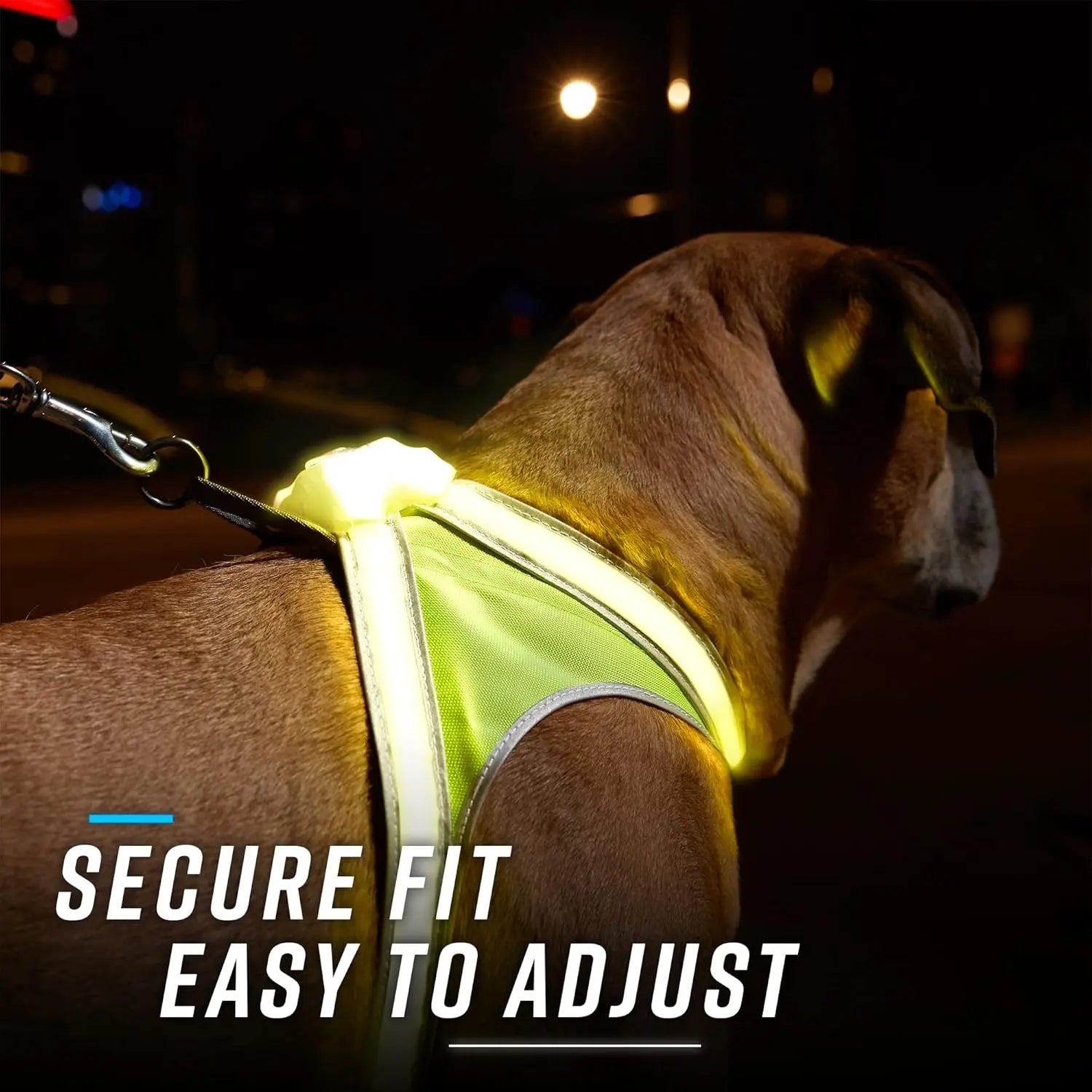 LED Light-Up Dog Harness – USB Rechargeable Reflective Safety Vest