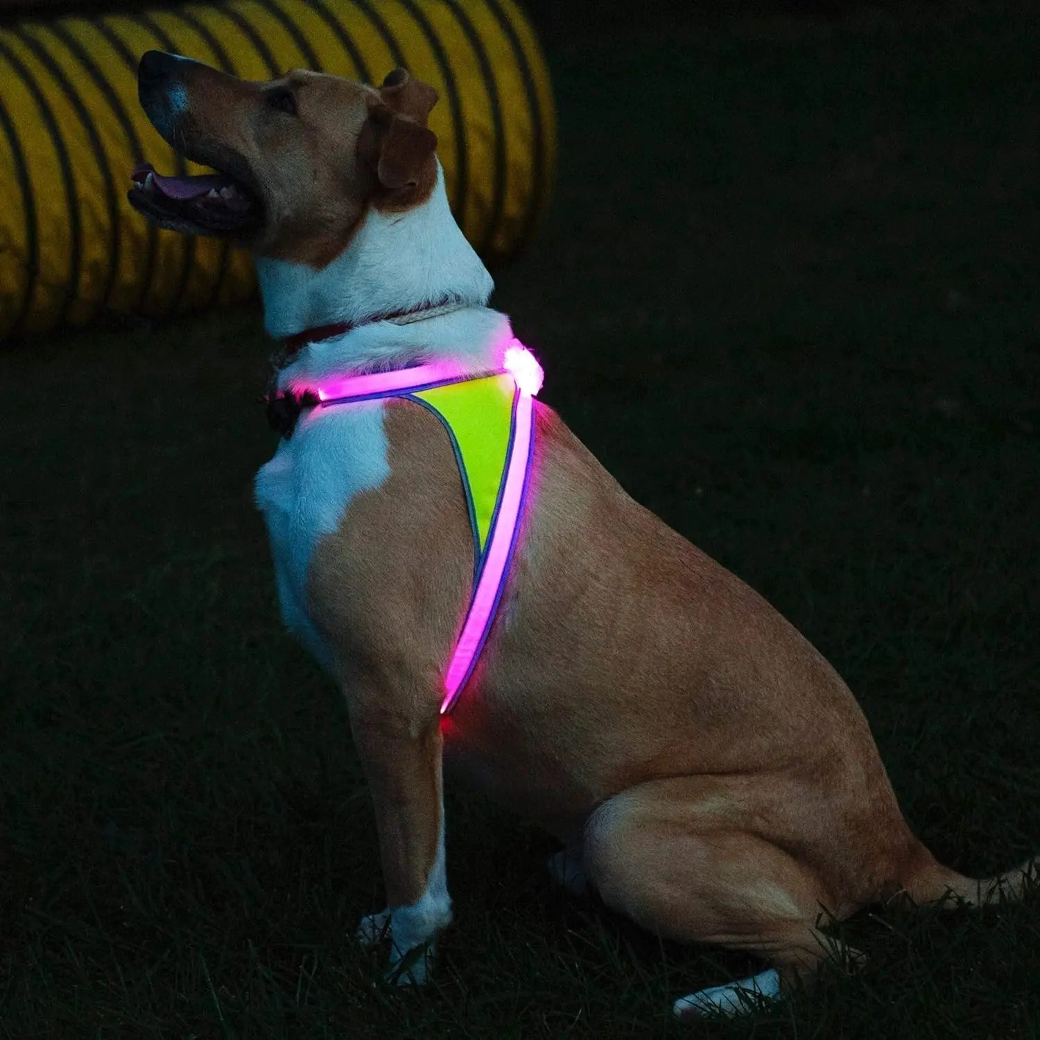 LED Light-Up Dog Harness – USB Rechargeable Reflective Safety Vest