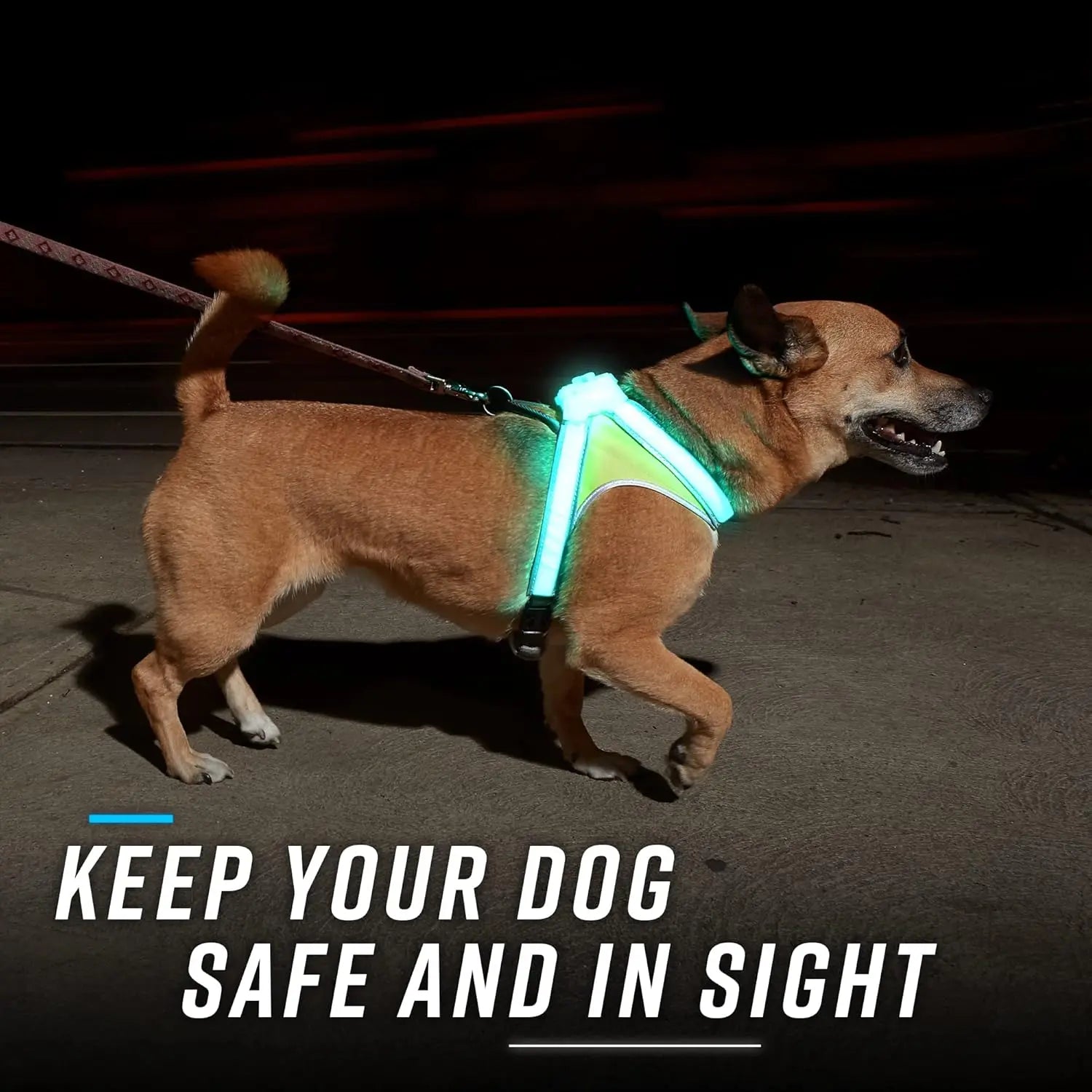 LED Light-Up Dog Harness – USB Rechargeable Reflective Safety Vest