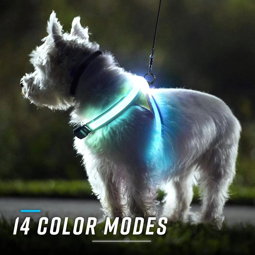 LED Light-Up Dog Harness – USB Rechargeable Reflective Safety Vest