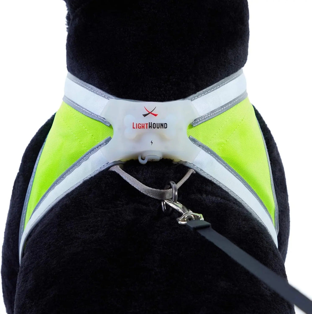 LED Light-Up Dog Harness – USB Rechargeable Reflective Safety Vest