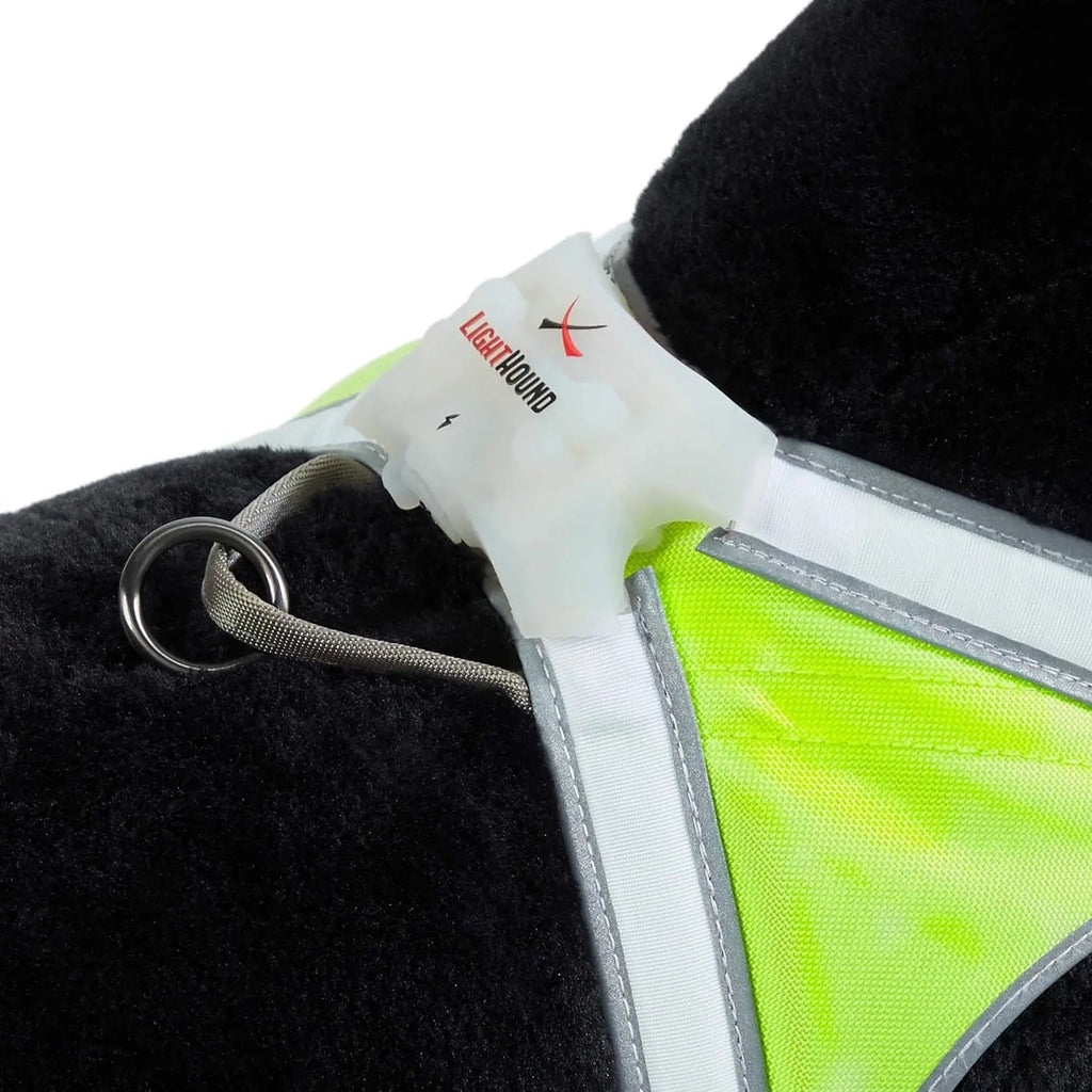 LED Light-Up Dog Harness – USB Rechargeable Reflective Safety Vest