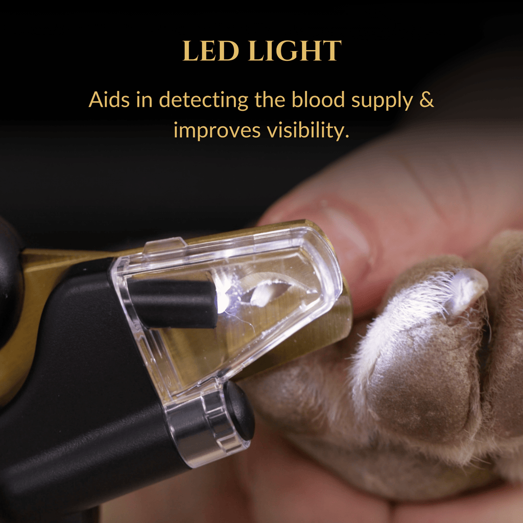 3-in-1 LED Light Dog Nail Clippers