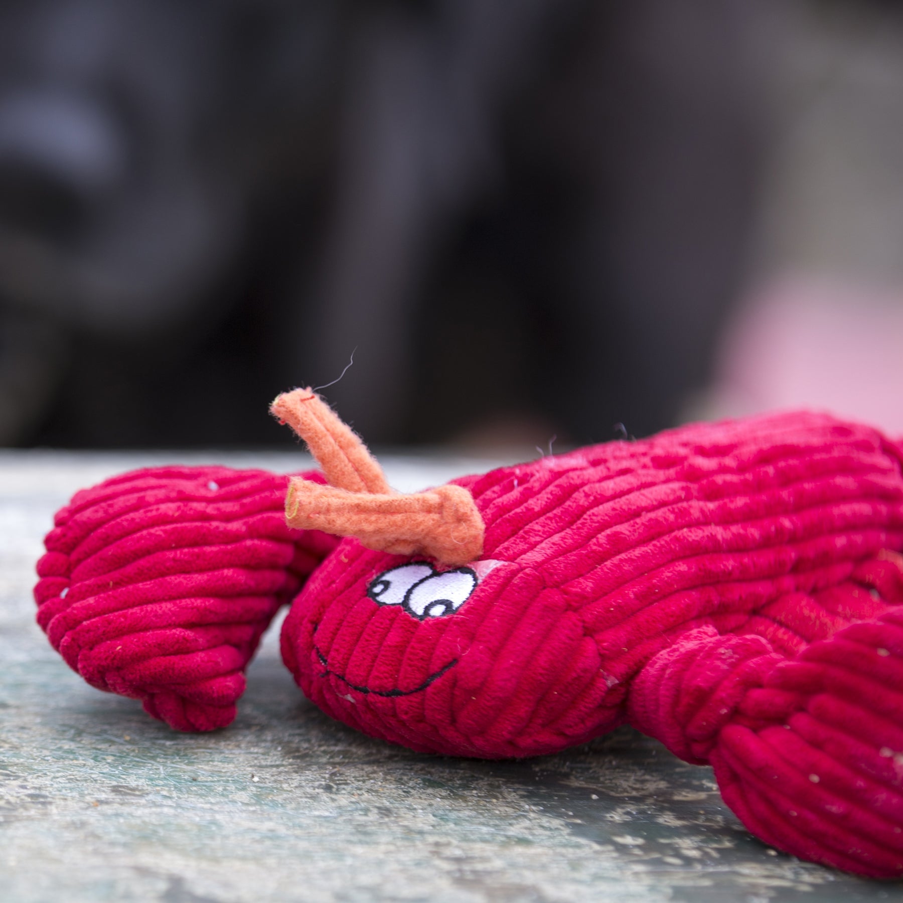McCraken Lobsta™ Knottie® Plush Dog Toy