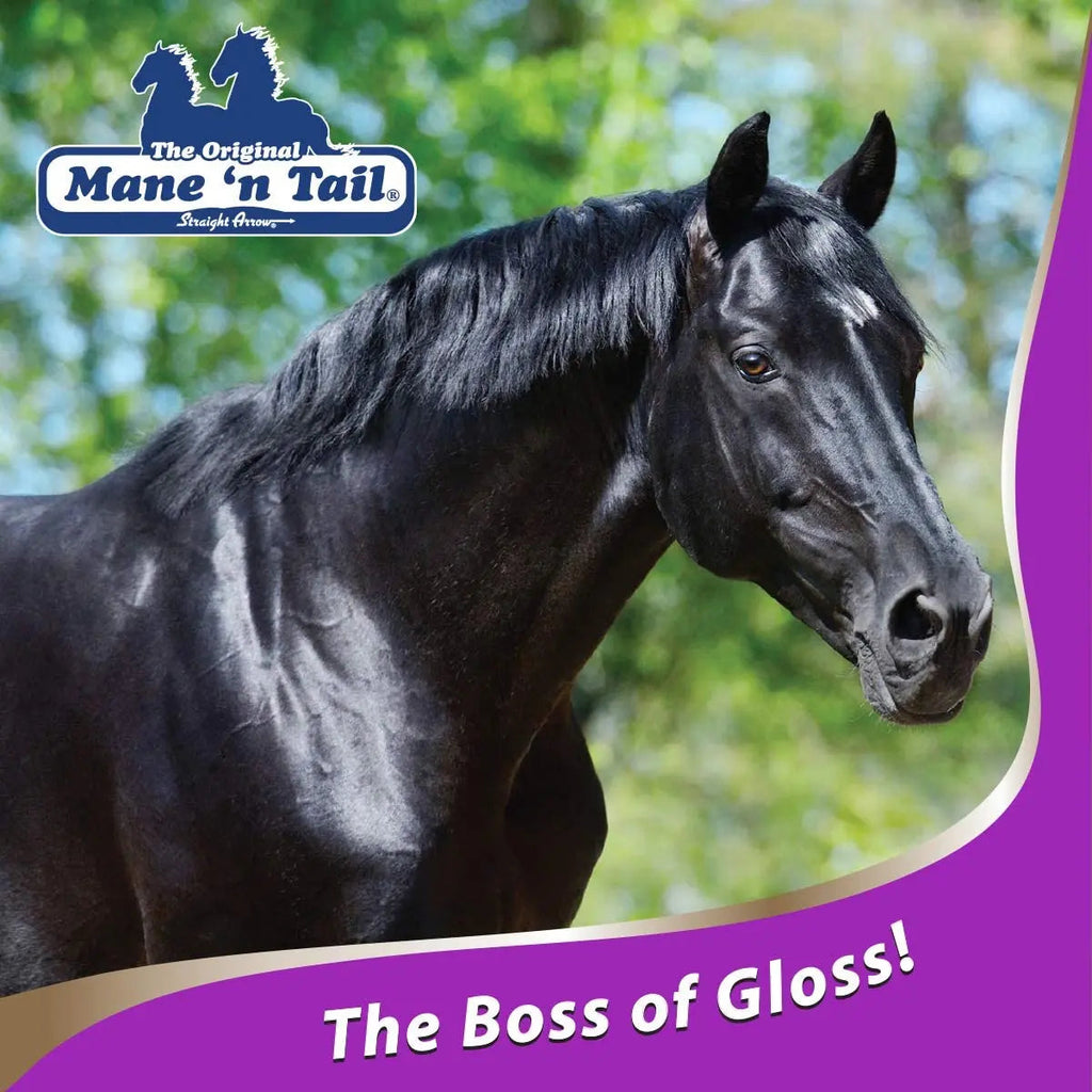 Mane 'n Tail Ultimate Gloss Horse Conditioner Gentle Formula 32oz