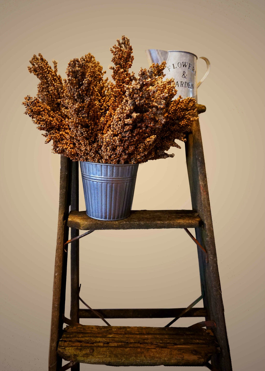 Grain Sorghum, Milo, Bird Seed