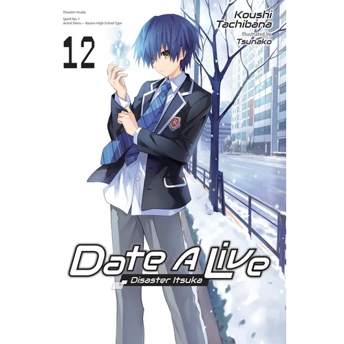 Date a Live, Vol. 12 (Light Novel): Disaster Itsuka - Paperback