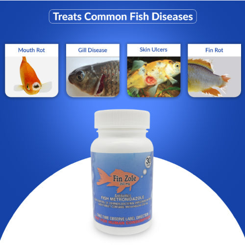 Fish Zole 250mg Tablet Aquarium – 30 Count – Water Care Support
