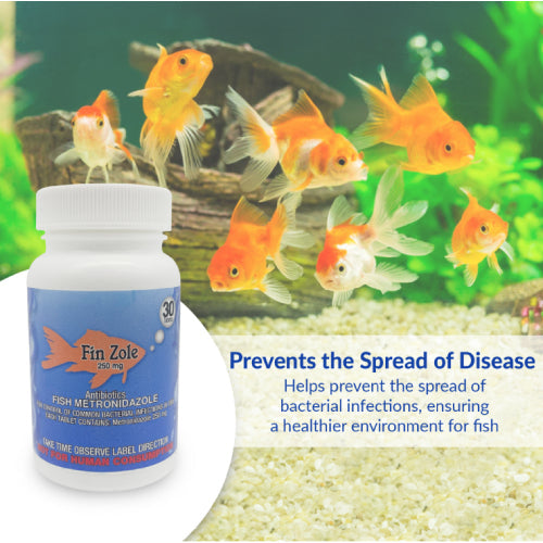 Fish Zole 250mg Tablet Aquarium – 30 Count – Water Care Support